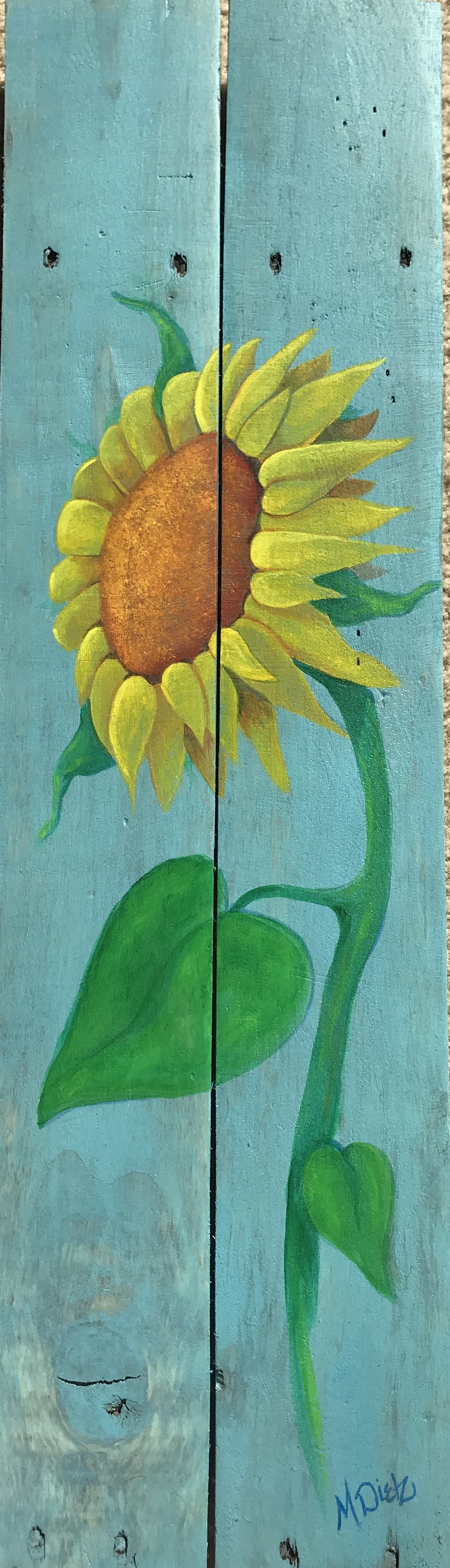 sunflowerblue.JPG